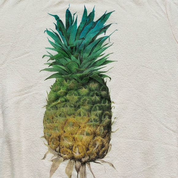 Wildfox Soft Pink Pineapple Crewneck Oversized Baggy Beach Jumper Sweatshirt S - Picture 5 of 9